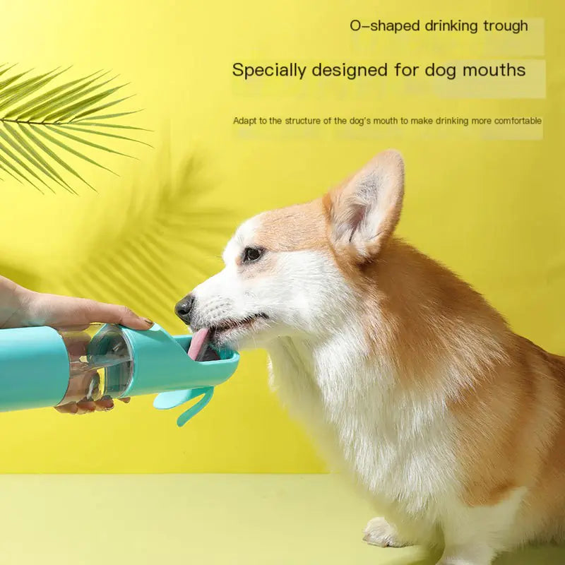 Portable Outdoor Dog Water Bottle for Pets