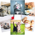 Cat Themed Microfiber Cleaning Cloth-6pc